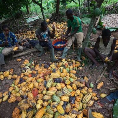 What strong EU regulations for cocoa could mean for farmers, and why ...